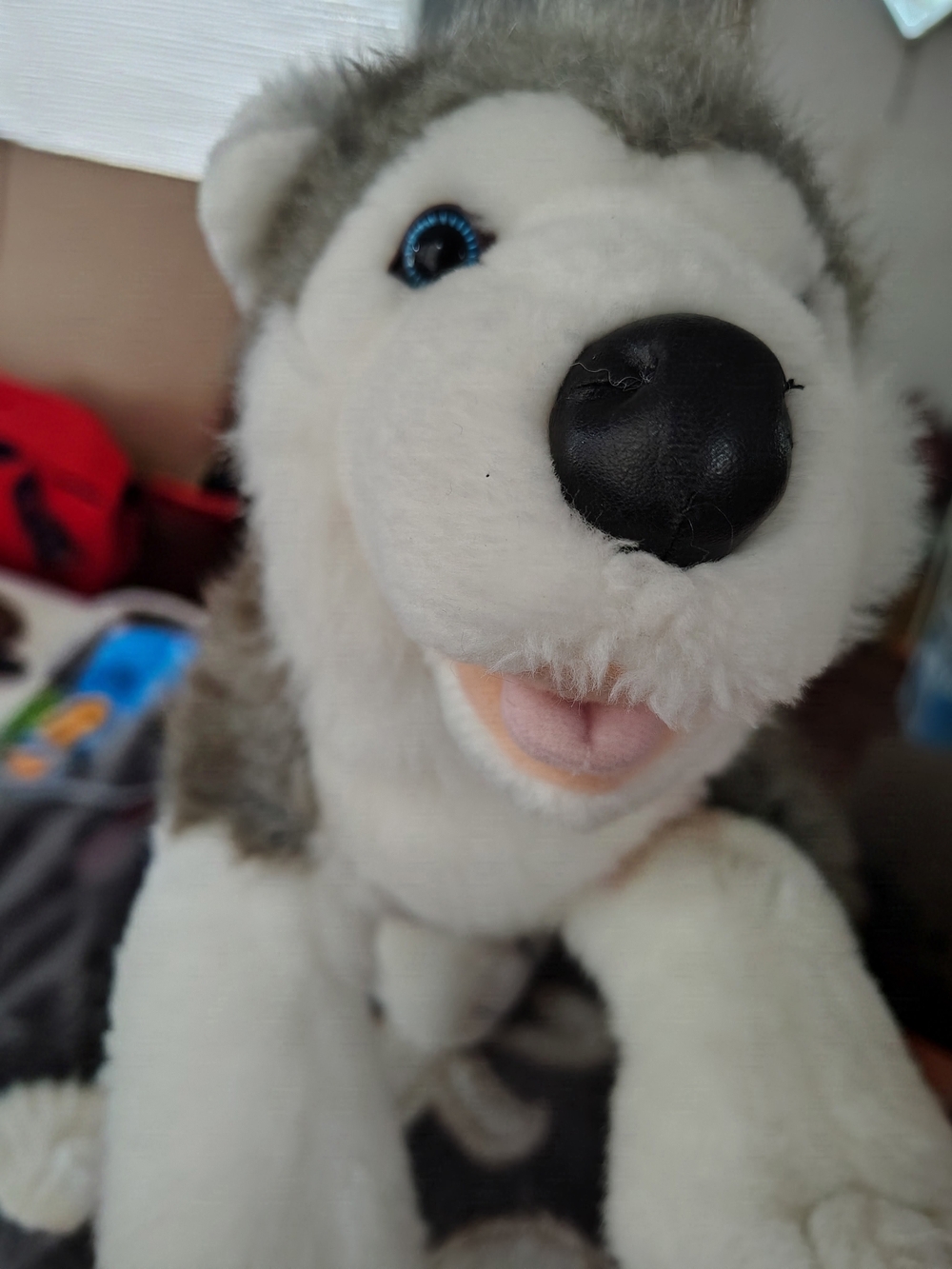 Build-A-Bear Retired Husky Plush Toy - White, Gray, Black